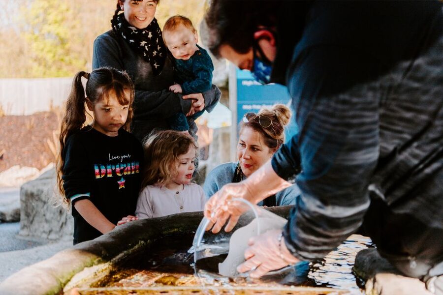 Sea Life Weymouth Admission Ticket - Start with the animals that capture children’s attention