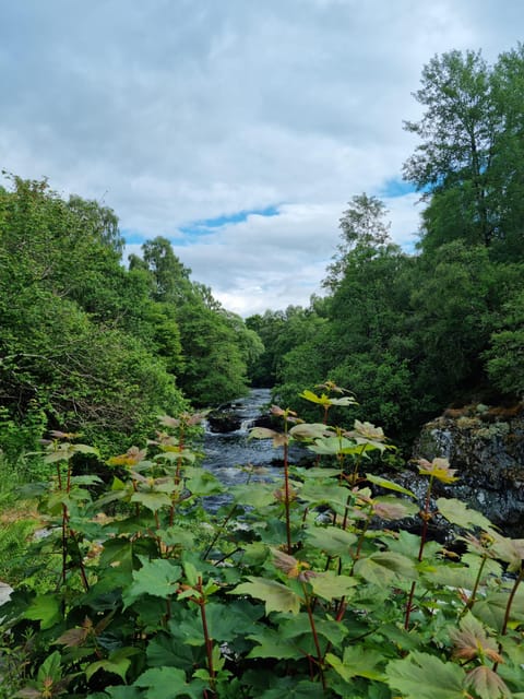 Shore excursion from Invergordon - Castles, Scenery & Whisky - How much value do you get for $902?