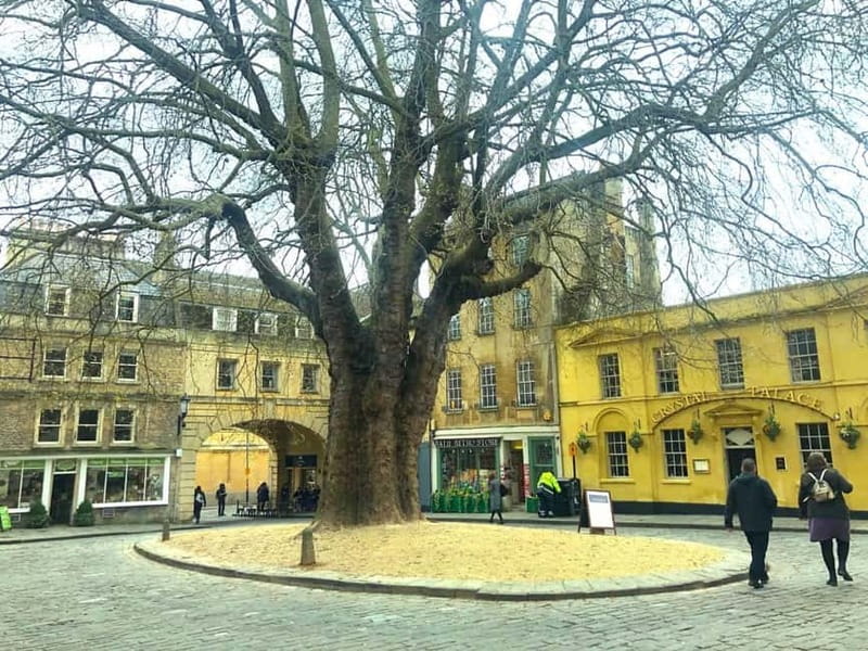Stonehenge, Bath, Windsor and Roman Baths London Day Tours - Windsor Castle and the royal alternative