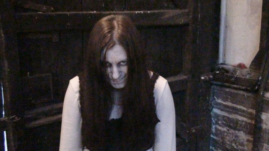 Stratford-upon-Avon: Lantern-Lit Ghost Tour at Tudor World - The guide makes or breaks the hour