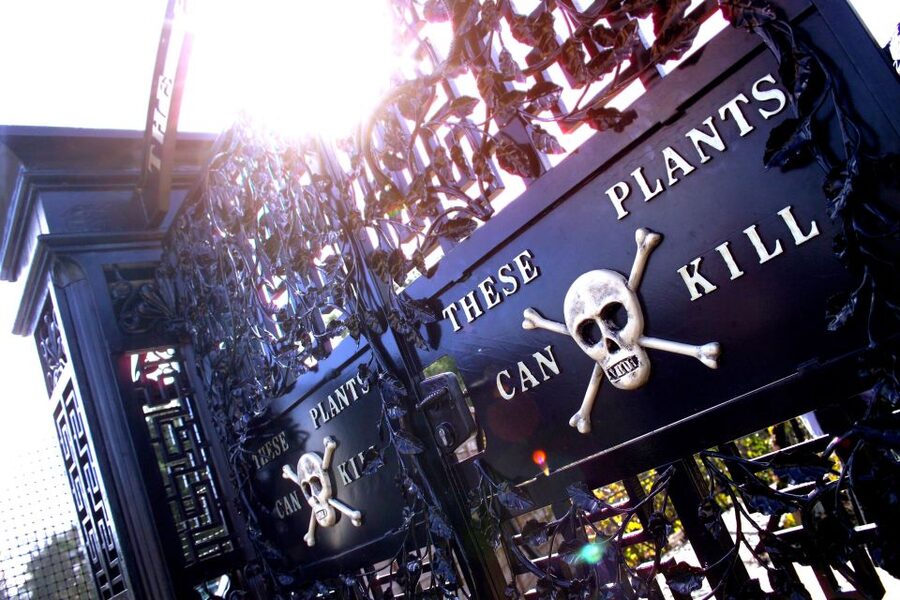 The Alnwick Garden: Entry Ticket - Bamboo, Serpent Garden, and family spaces