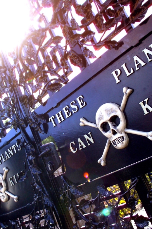 The Alnwick Garden: Entry Ticket - Price, tickets, parking, and family value