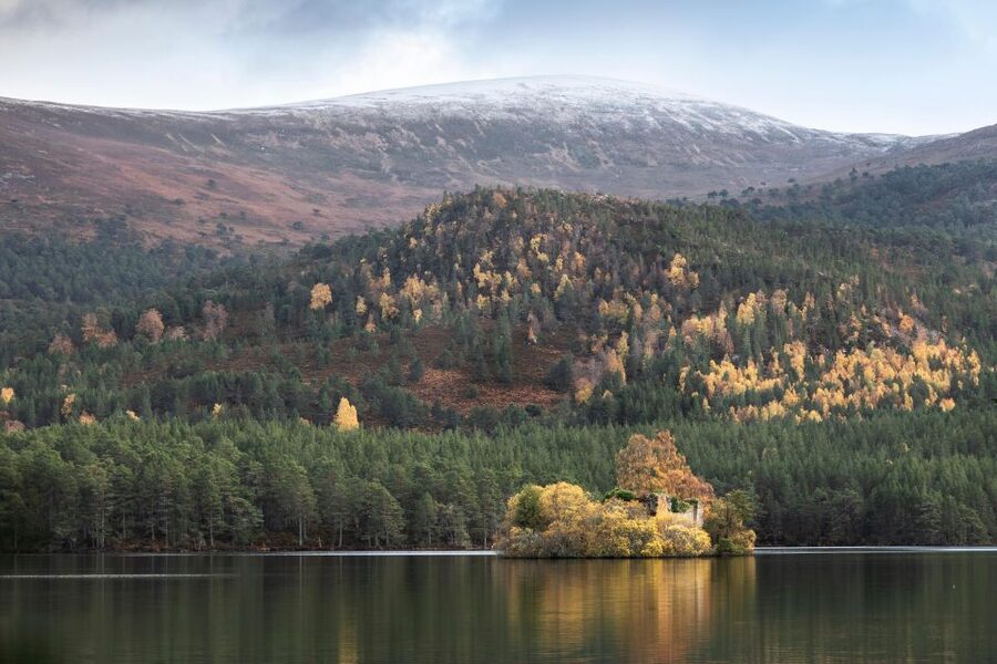 The Cairngorms, Culloden, and Speyside Whisky Tour - Why this 10-hour route works