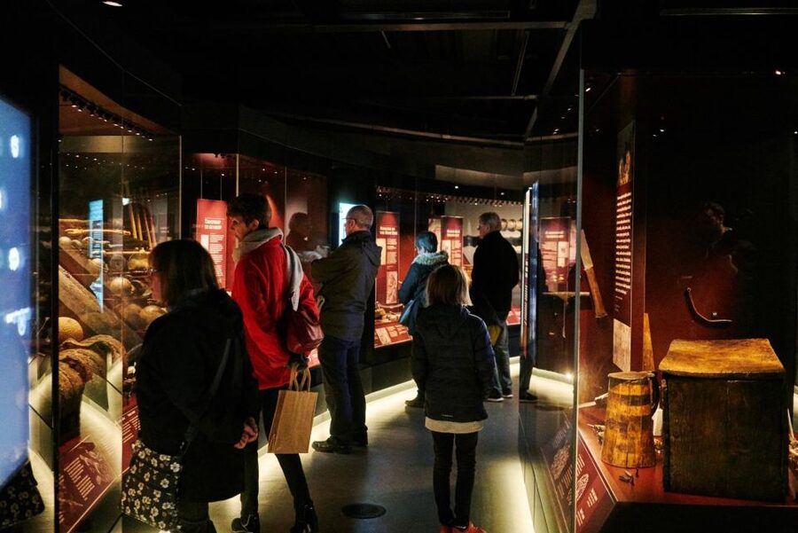 The Mary Rose: Day Admission Ticket - Why the Mary Rose feels different from an ordinary museum