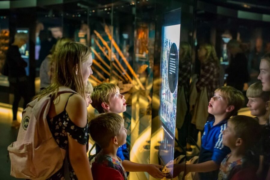 The Mary Rose: Day Admission Ticket - The preserved hull and the shape of a Tudor warship