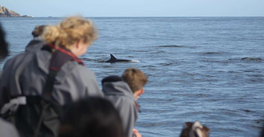 The North Coast Boat Trip Experience - Cold air, open water, and what to wear