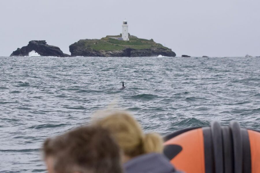The North Coast Boat Trip Experience - Who will enjoy the two-hour outing most?