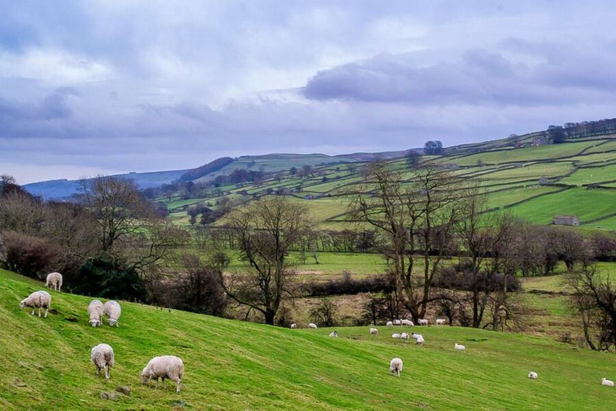 The Yorkshire Dales Tour from York - Why this York day trip works