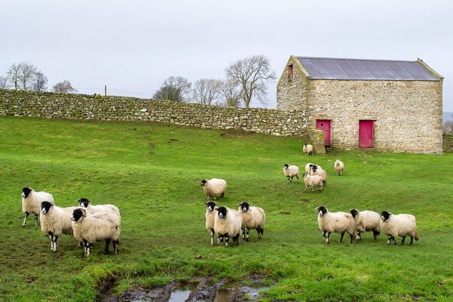 The Yorkshire Dales Tour from York - Who gets the best value from this tour