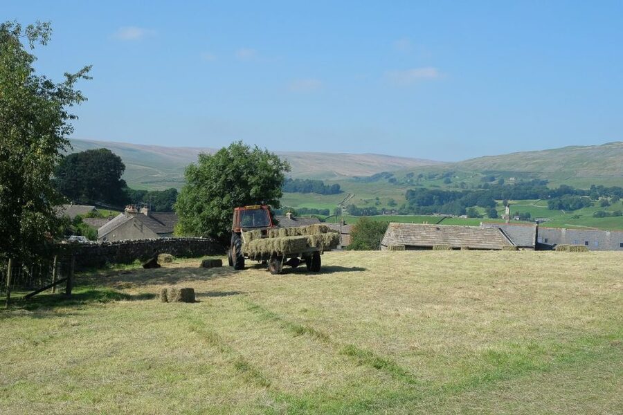 The Yorkshire Dales Tour from York - Swaledale and the scenic passes