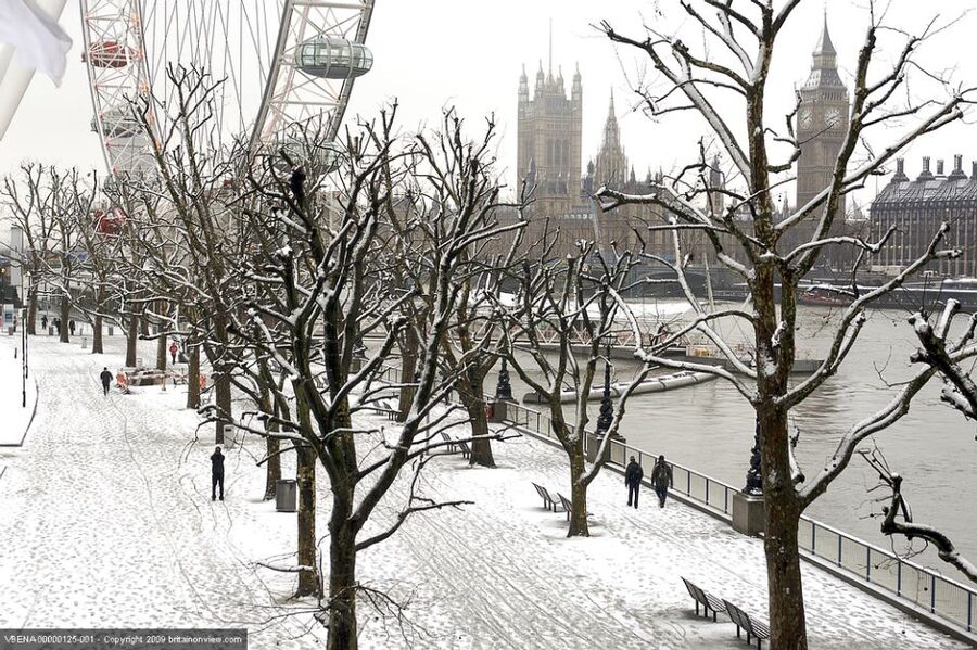 Tour of London and Christmas Day Lunch Cruise - Christmas lunch with the Thames outside your window