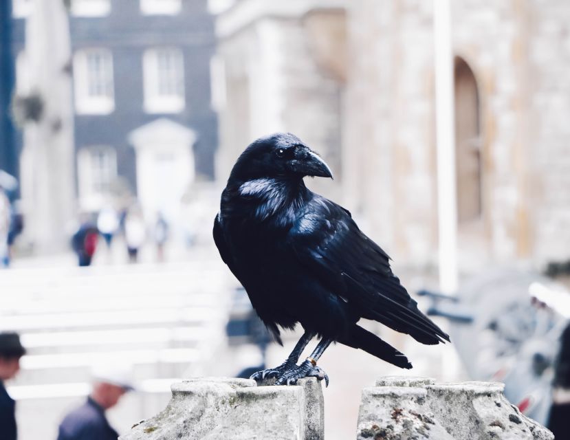 Ultimate Royal London, Thames River Boat Ride & Walking Tour - Starting at the Tower of London
