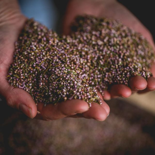 Whitby: Guided Distillery Tour with Gin Tasting - Who will enjoy this Whitby experience?