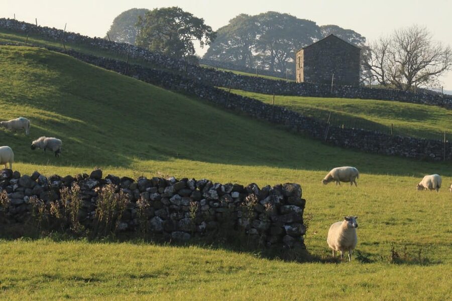 York: "All Creatures Great and Small" Yorkshire Dales Tour - Wensley church and the final stop in Hawes