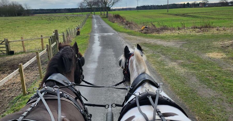 York: Horse Drawn Carriage ride & Cream Tea - A Slow Ride Into the Skipwith Countryside