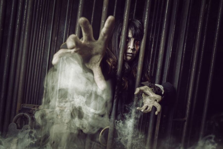 York: The York Dungeon Entry Ticket - The Knavesmire and the return of Dick Turpin