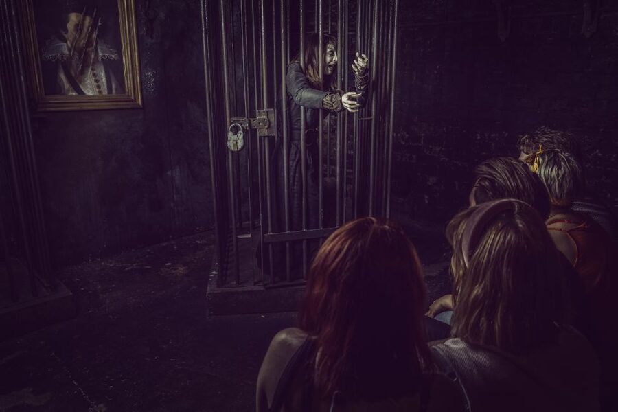 York: The York Dungeon Entry Ticket - Actors make or break the experience